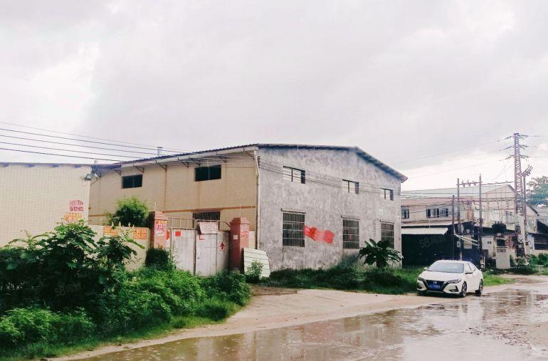 园洲原房东独院厂房出租1200平方，证件齐全可办环评交通方便