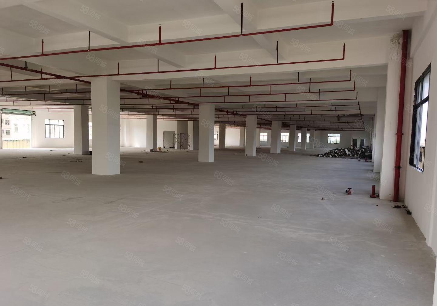 石湾科技园全新独院分租四楼6600平方