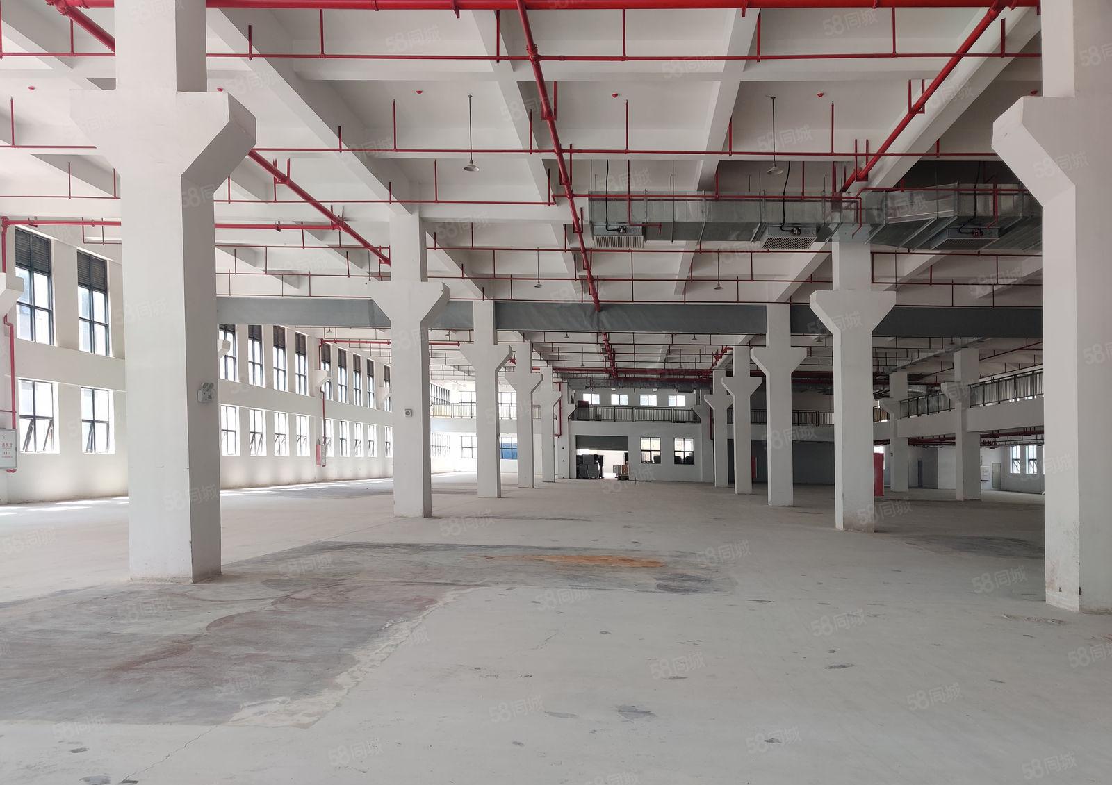 原房东10元起惠阳镇隆3万平大型工业区厂房仓库一楼空地招租