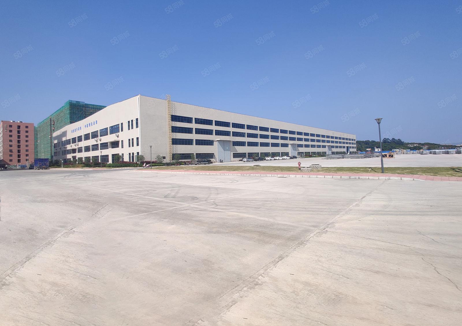 13元200平起租园洲石湾原房东无公摊16米高单一层一楼仓库