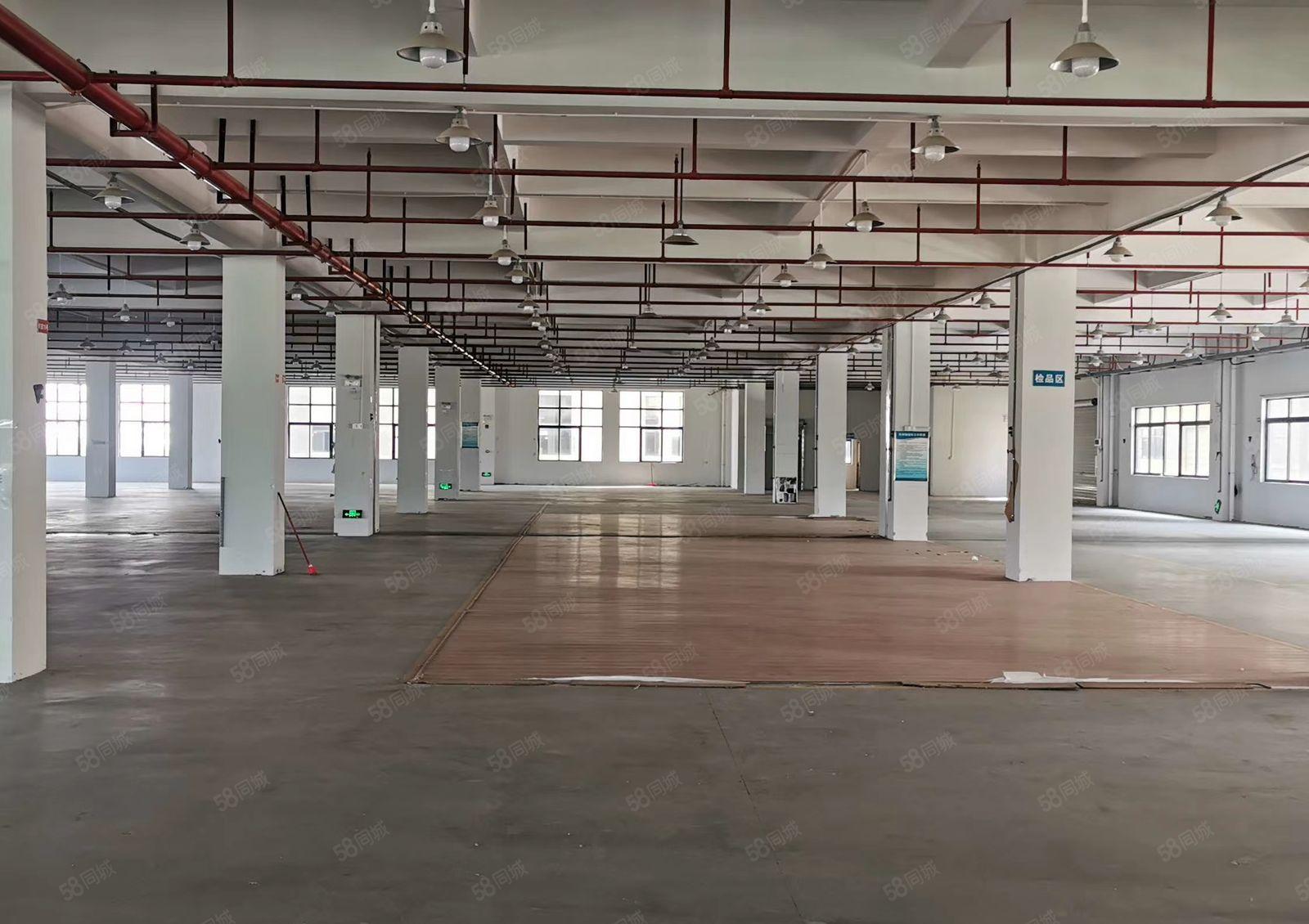 惠州市博罗县龙溪镇小蓬岗工业园区厂房出租10万方