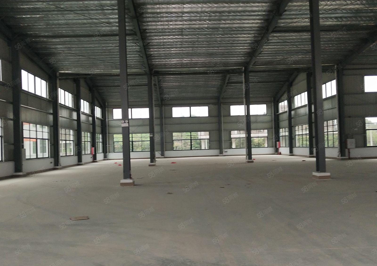 独院单一层厂房5200平方出租，宿舍800平，空地超大！