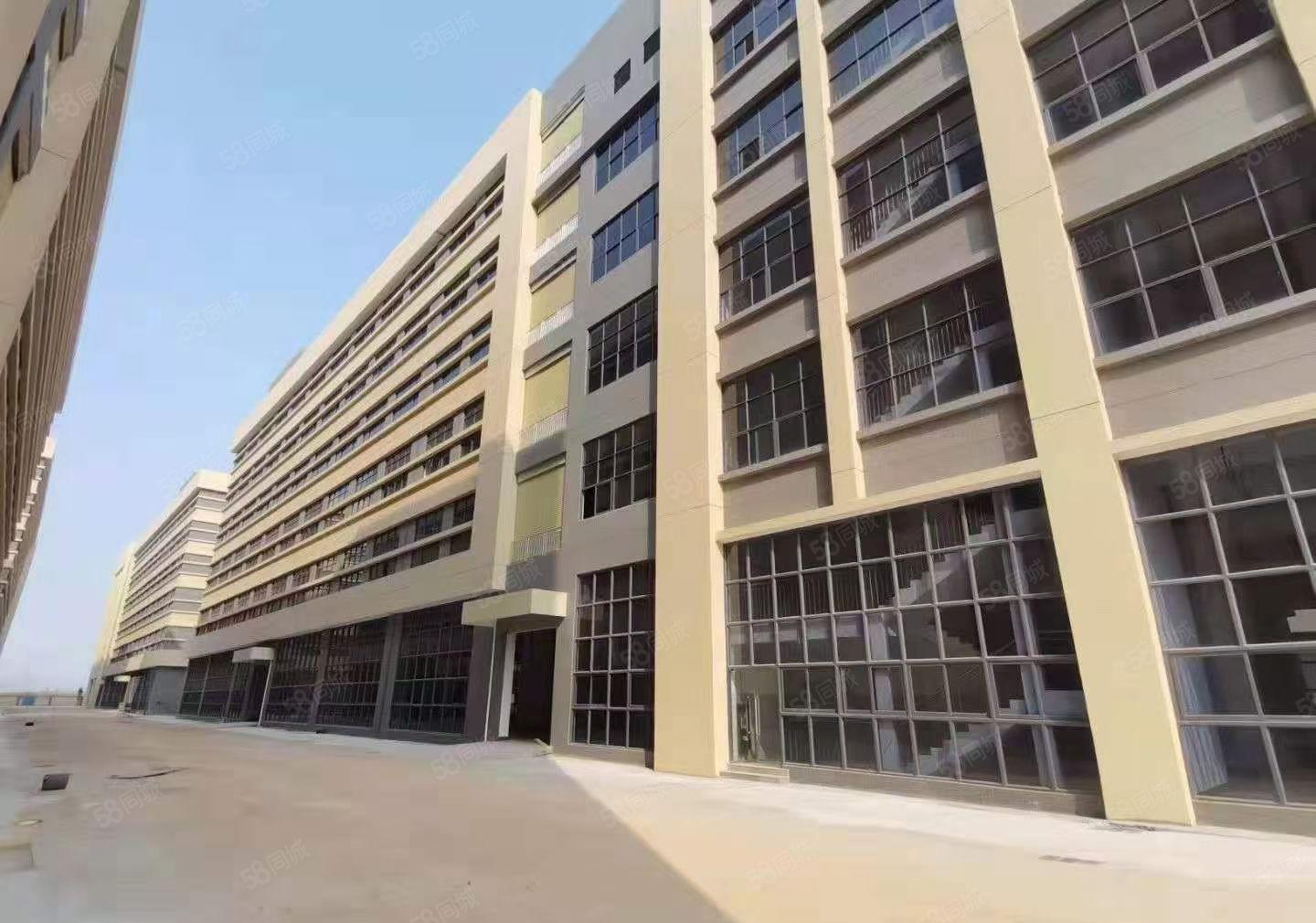 园洲全新标准厂房，原房东分租！价格便宜，现成装修！