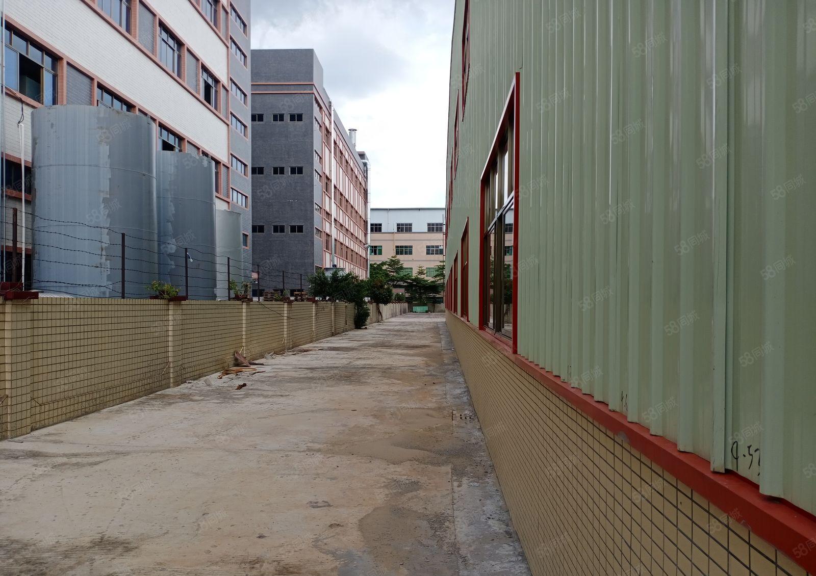 园洲镇 独院单一层钢构厂房6200平方出租，宿舍办公配套齐全