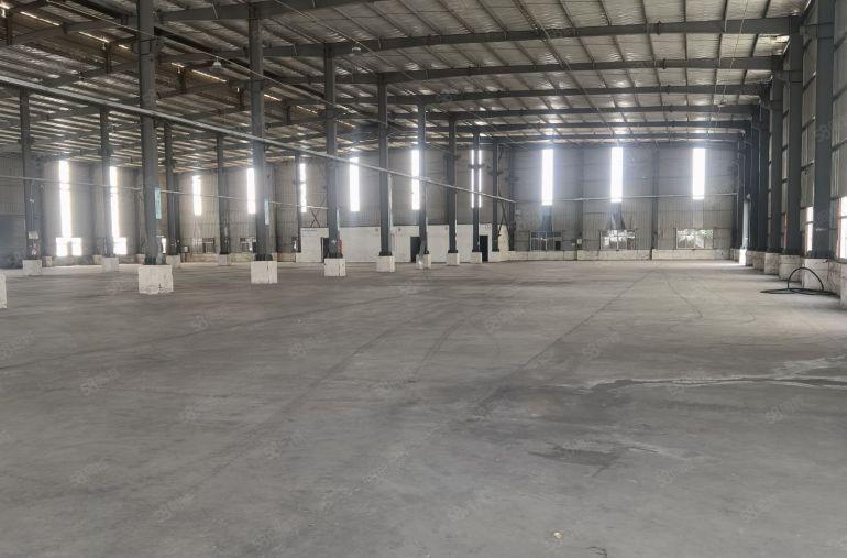 园洲镇工业园区厂房出租独栋滴水8米单一层10000平