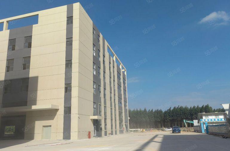 龙溪镇标准工业园7元出租楼上7元一楼8米14元全新工业区原房