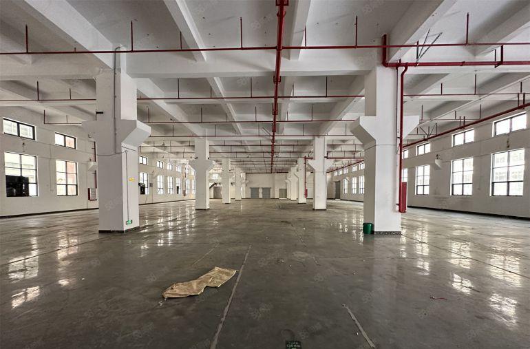 园洲厂房一楼2000平带牛角厂房低价出租博罗中心地带