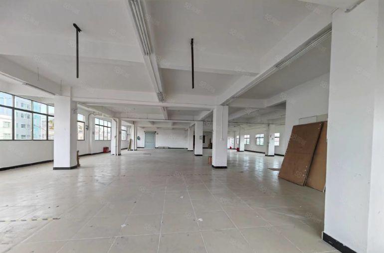 园洲本村老干部厂房6层，每层520平，只要8块钱，有电梯