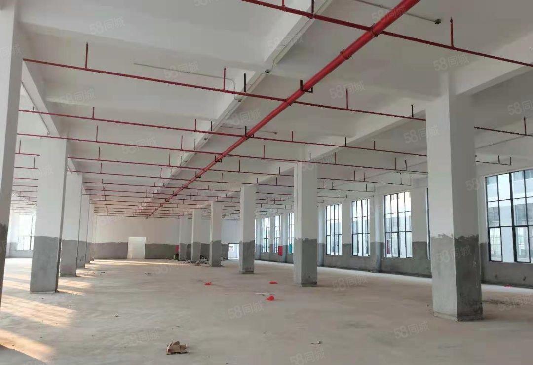 罗阳镇原房东标准楼房加砖墙钢构单一层招租42580平方无公摊