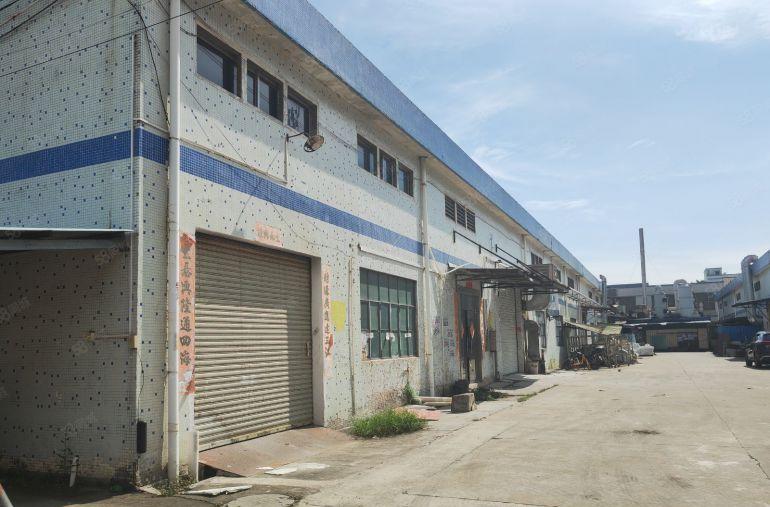 园洲原房东砖墙单一层1700平，配电150千瓦，价格便宜带办