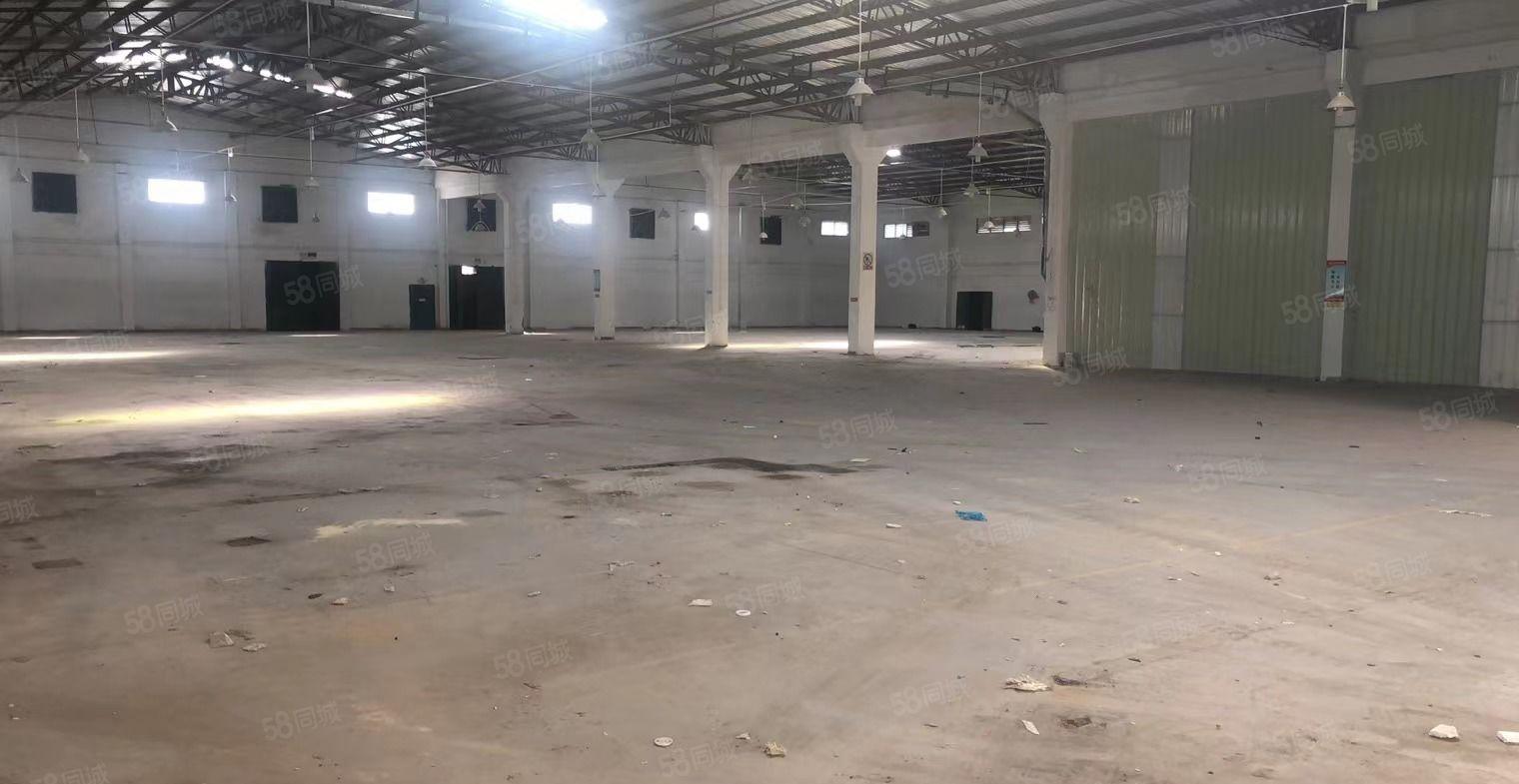 园洲新出原房东独门独院单一层厂房5800平方宿舍1200平方