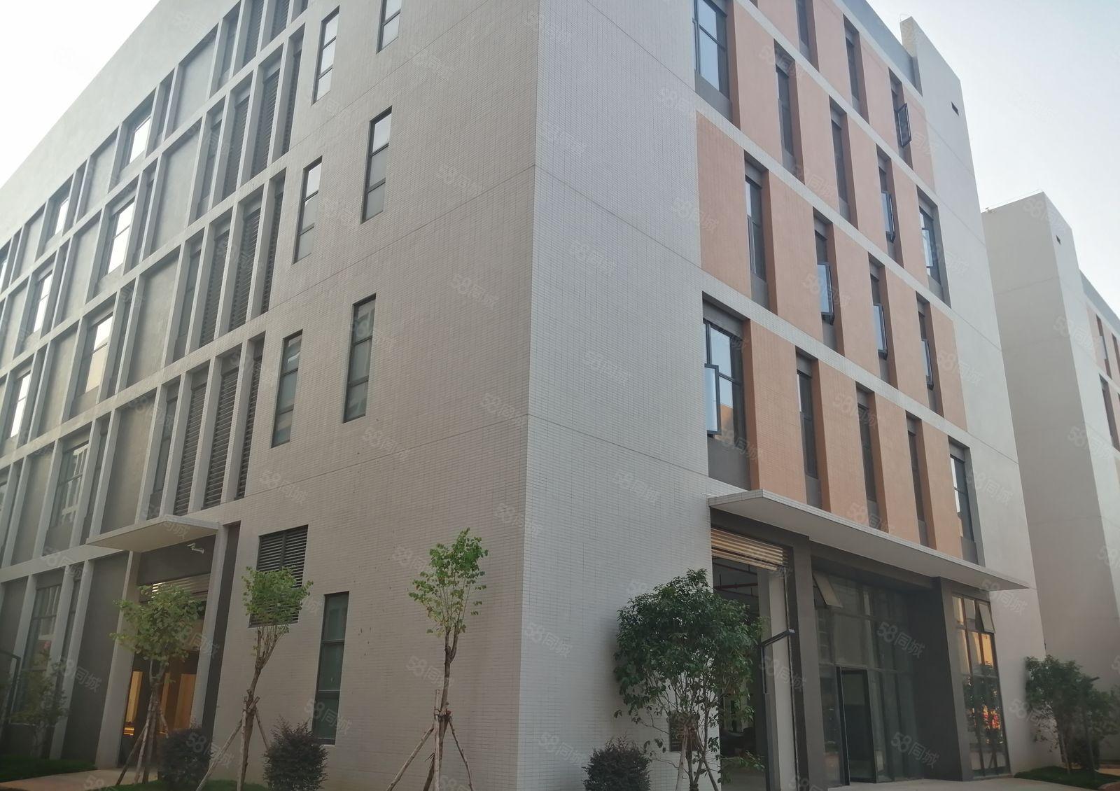 石湾科技园（红本）厂房火爆招租