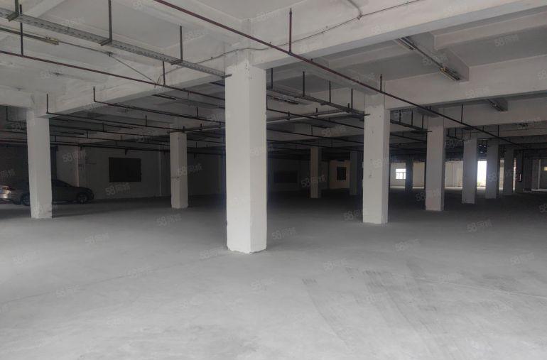 独门独院  空地打 大道边工业园 厂房出租