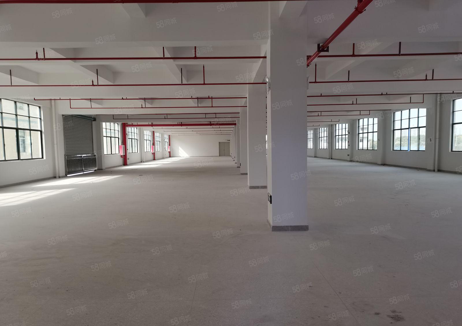 惠州市博罗县园洲镇20万平方全新红本标准厂房招租大小可以分组
