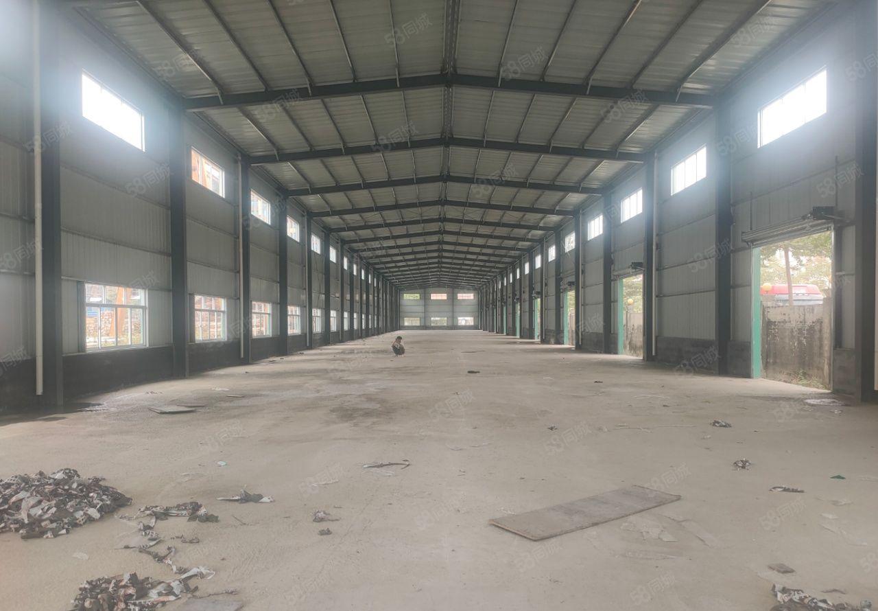 龙溪大道边钢结构全新厂房出租价格便宜