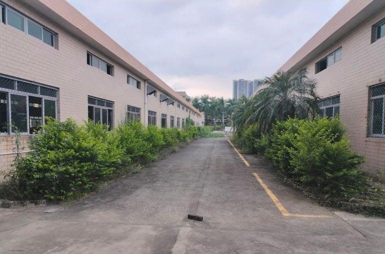 福田镇原房东独院钢构厂房仓库20366平空地大低价12元招租