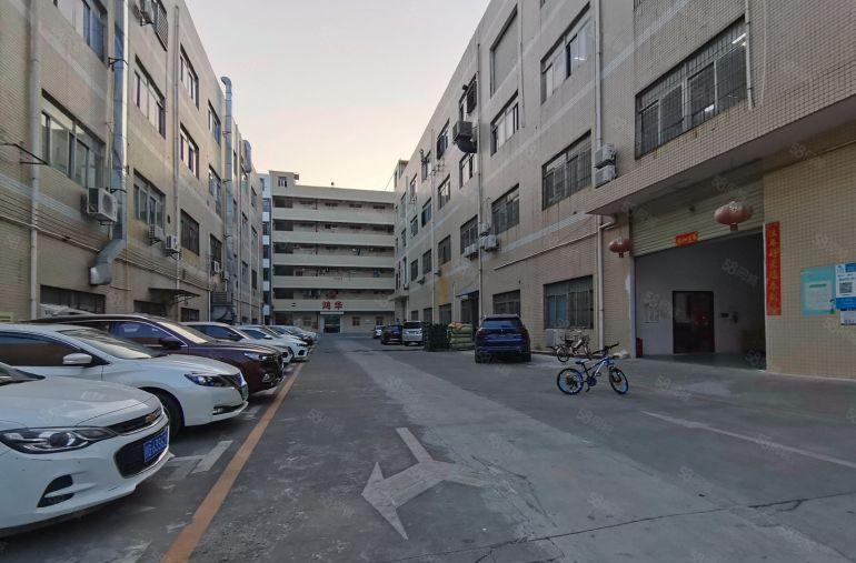 无基本电费园洲镇2600平精致小独院厂房出租滴水7米电到车间