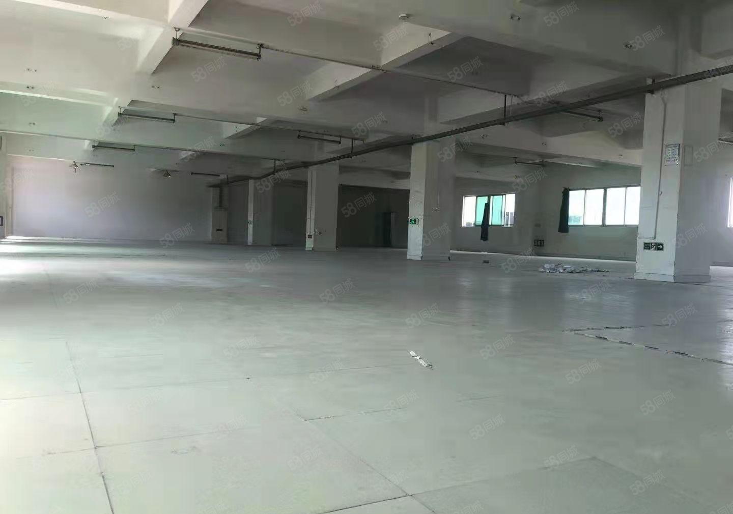 新出独院标准厂房出租，配套齐全，共8千平，证件齐全，无公摊