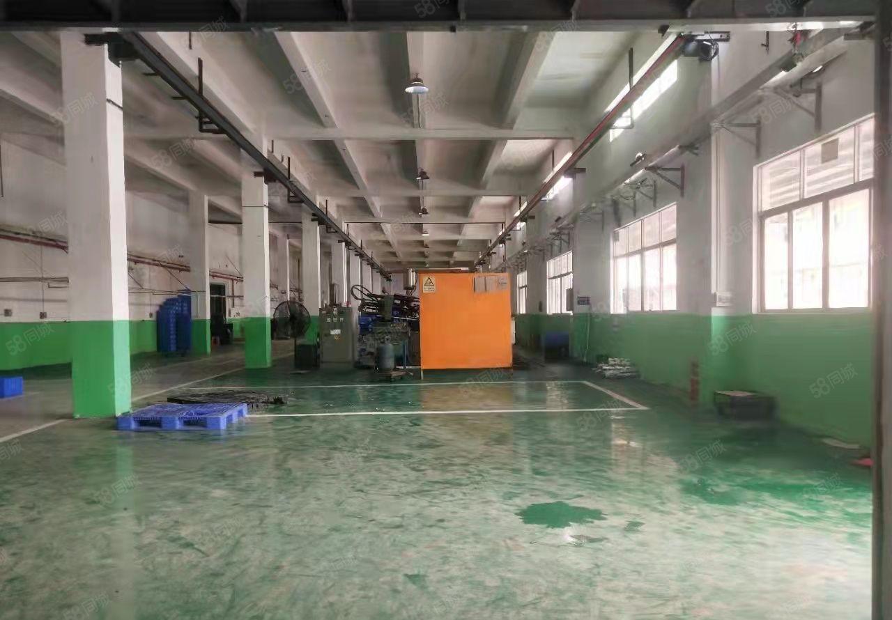 园洲新出独院标准两层厂房5200平方带独立办公楼宿舍证件齐全