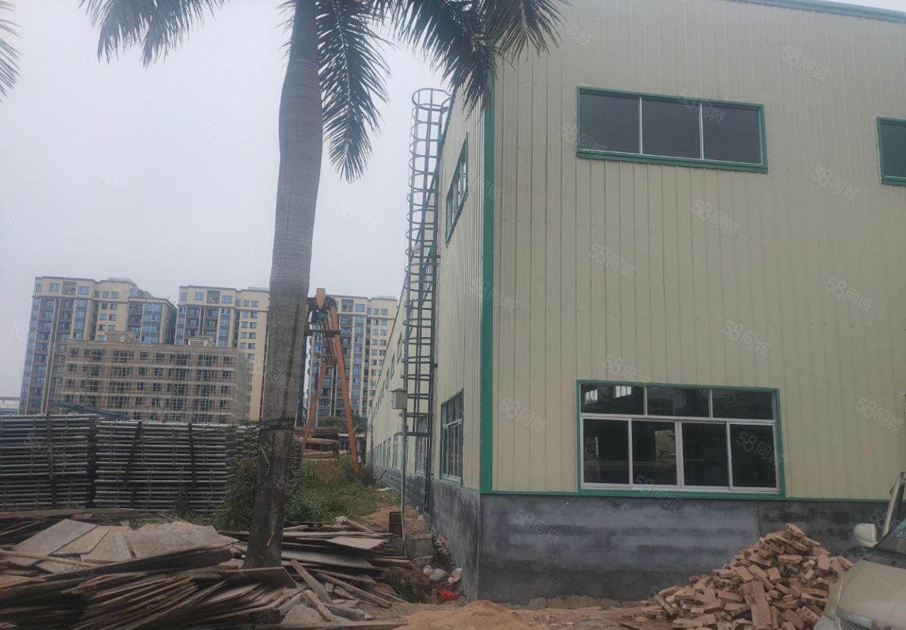 龙溪大道边钢结构全新厂房出租价格便宜