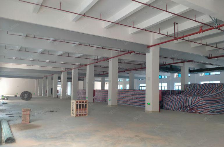 500平方起分园洲工业区9元起租证件齐全可办环评可仓库可生产