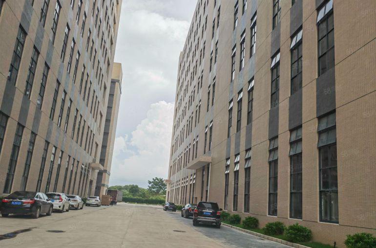 特价8块，全新原房东厂房带天然气现成地坪漆，1500平起分租