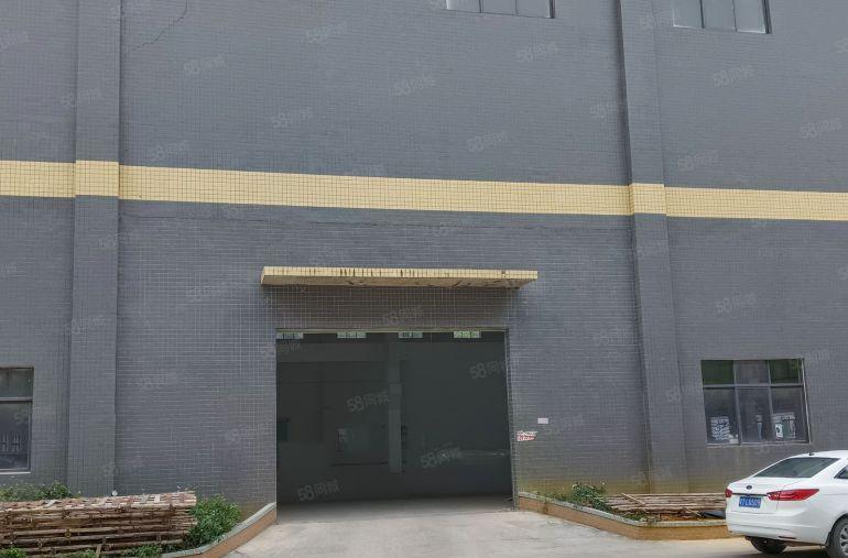 博罗县泰美镇标准红本园区独院厂房出租3200平方，高15米