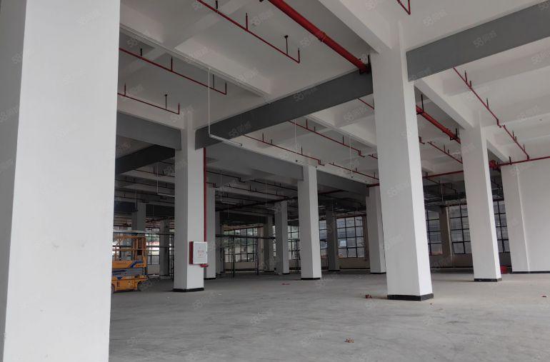 龙溪全新厂房边 国道边 采光好 空间利用大无公摊