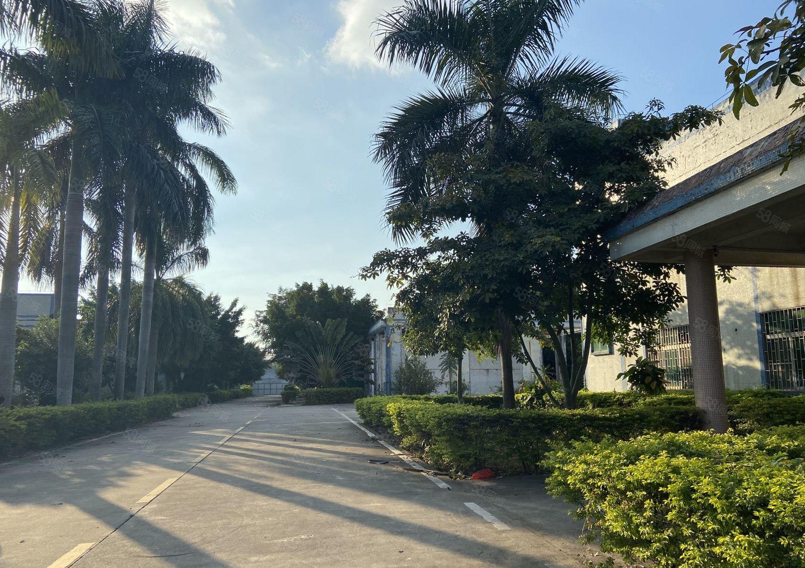 石湾镇工业区新出独院砖墙到顶钢构厂房滴水7米4150可以分租