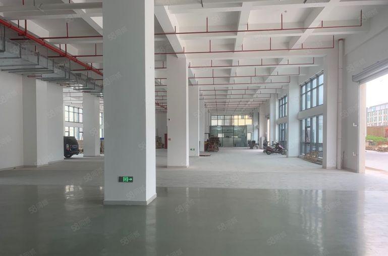 博罗石湾5~5000平原房东带红本层高6米仓库厂房出租大小分