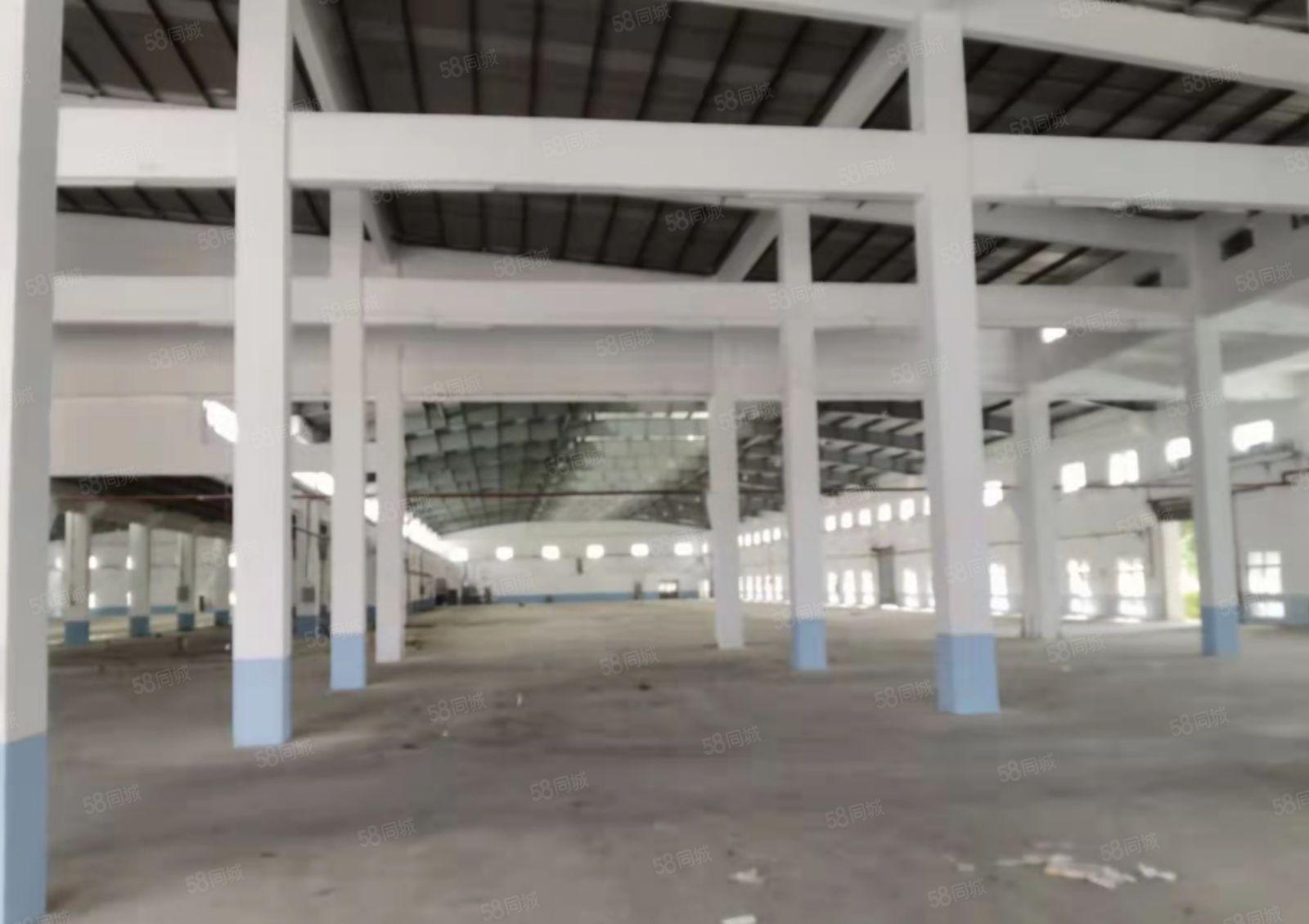 龙华镇花园式红本双证单一层厂房出租