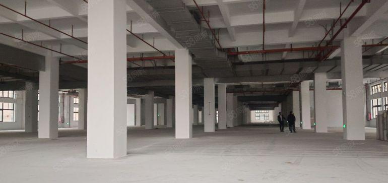 博罗园区红本厂房出租4.1万平方，大小面积可分租，包办环评。