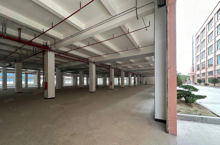 出租博罗原房东50000平全新独院厂房1000万起租行业不限