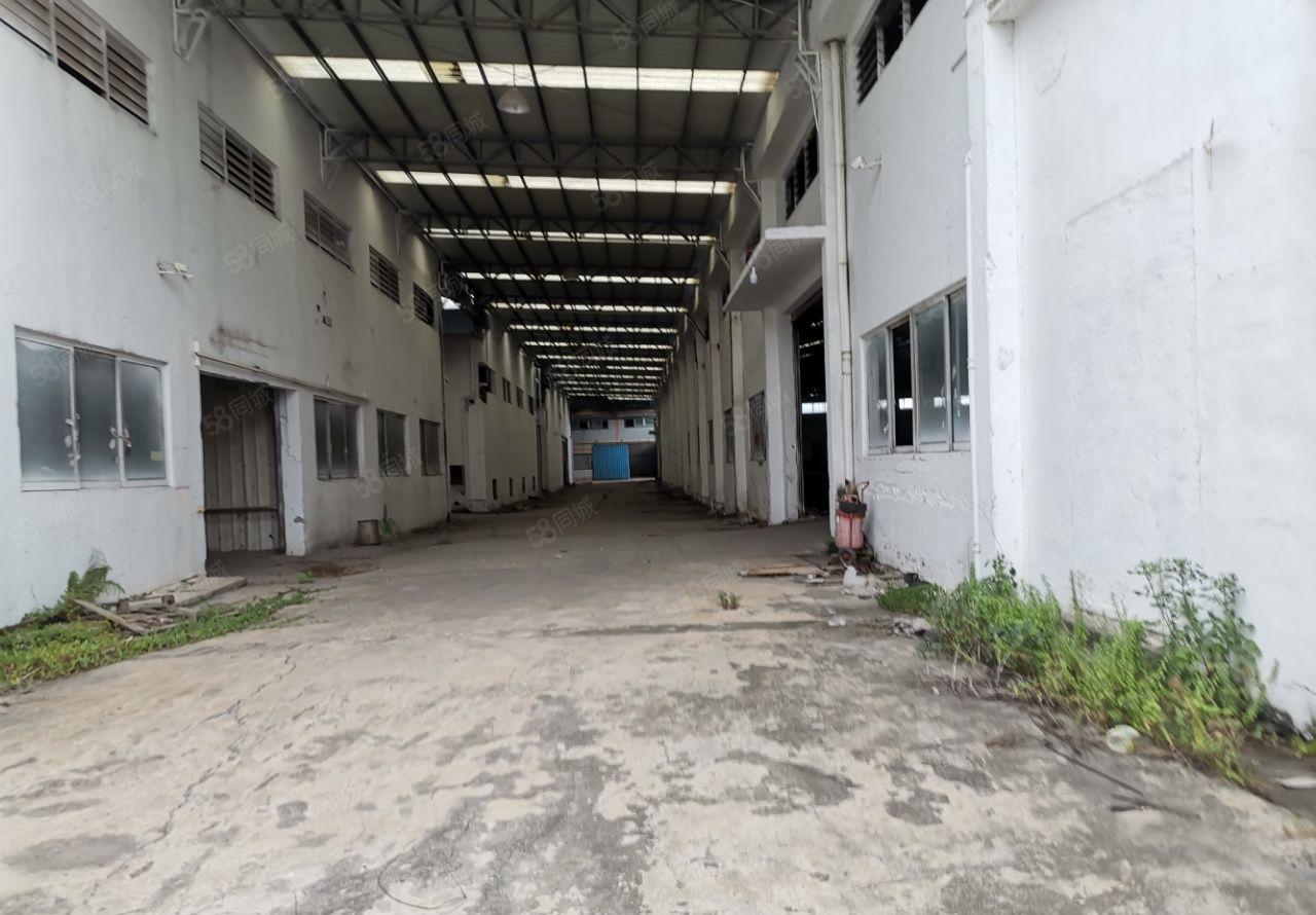 园洲广惠高速口原房东花园式红本钢构厂房40000
