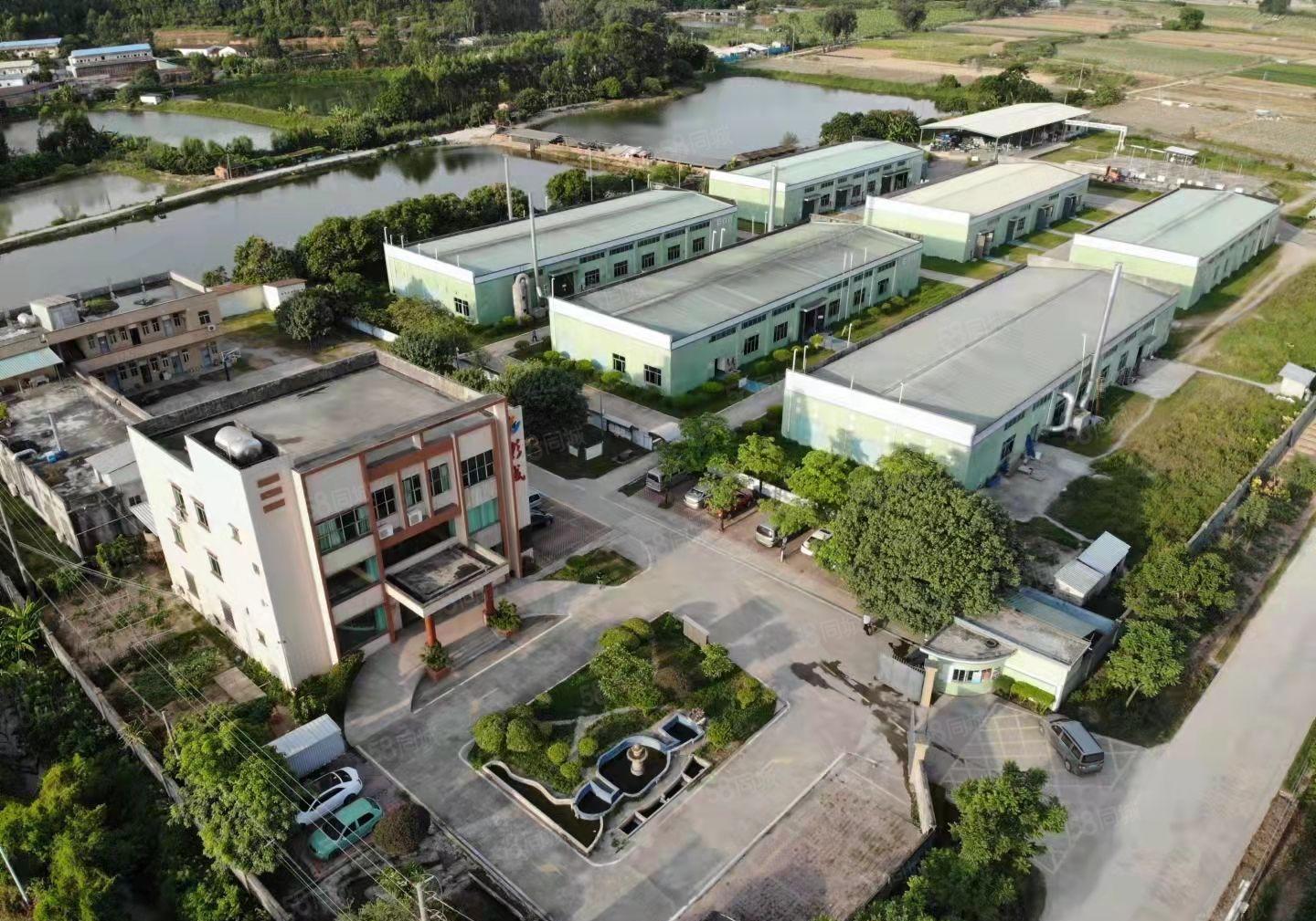 石湾镇化工厂房出租1500平方300平方起租