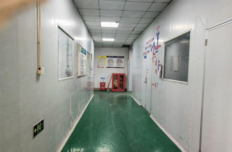 园洲上南现成无尘车间原房东厂房1300平，办公室齐全价格便宜