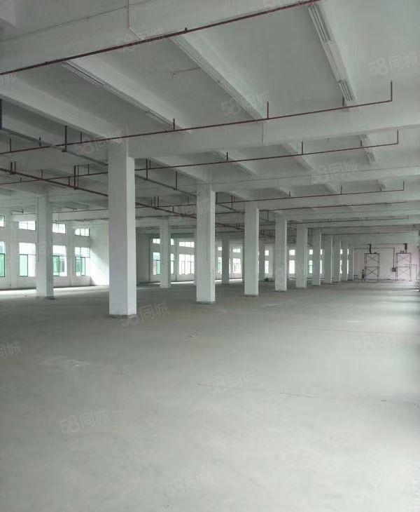 惠州市博罗县园洲镇，红本独门独院标准厂房出租，可办环评