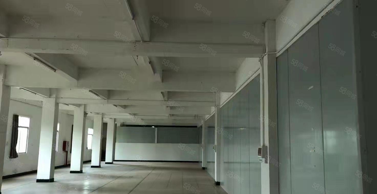 新出独院标准厂房出租，配套齐全，共8千平，证件齐全，无公摊