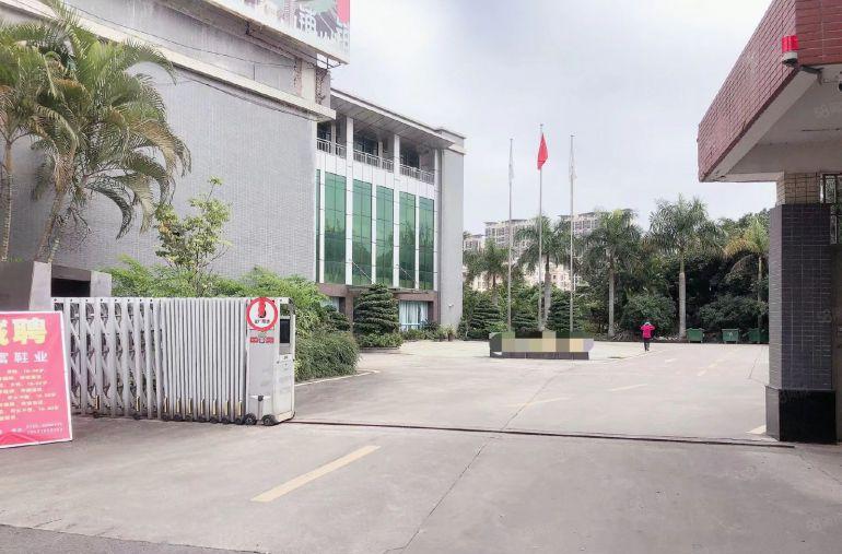 园洲新出独院，带装修，主线到位，可分租，空地大厂房仓库出租