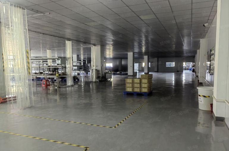 精装修！9元！无公摊！博罗罗阳原房东红本厂房3200平底价租