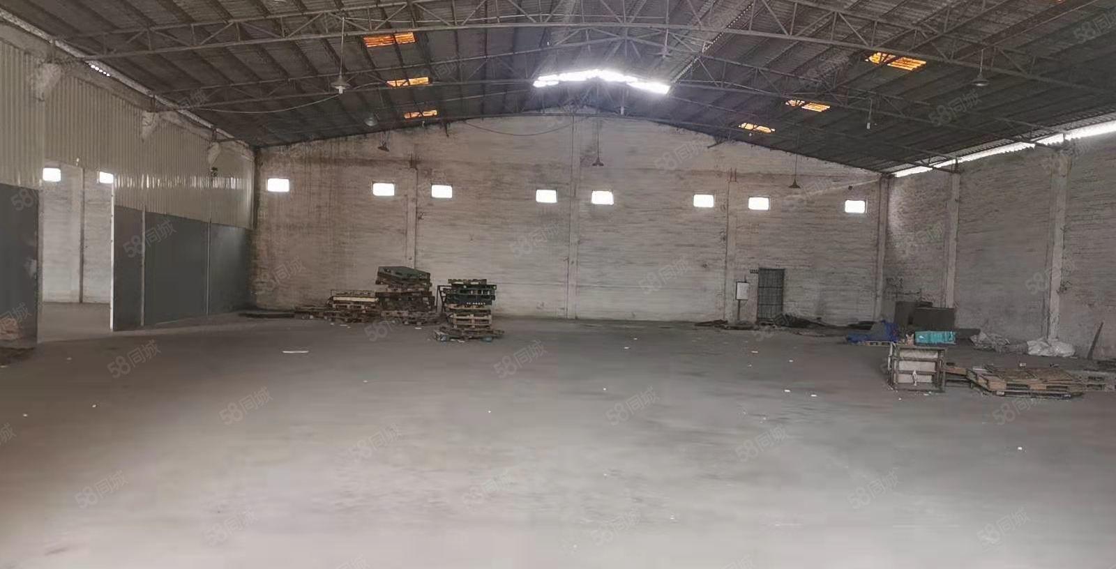 园洲镇原房东独院单一层2000厂房仓库出租出售转让