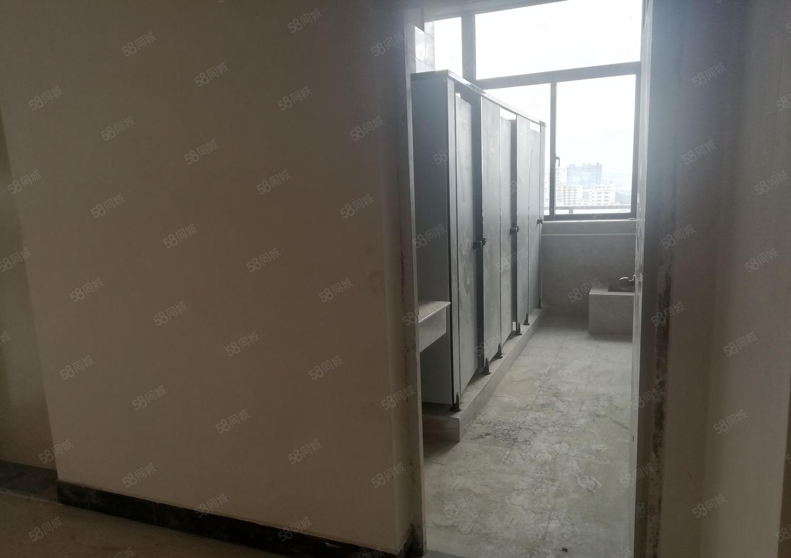 龙溪镇原房东全新红本厂房出租