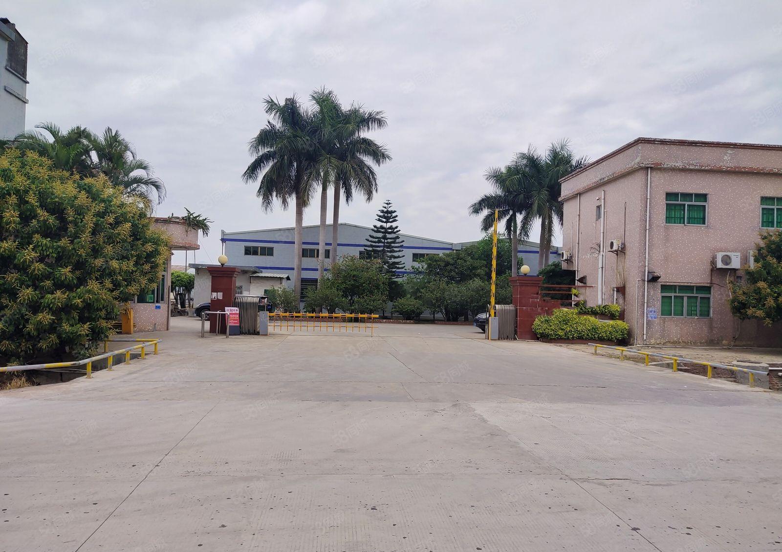 园洲原房东花园式独院厂房出租1500方，可分租，可做小污染。