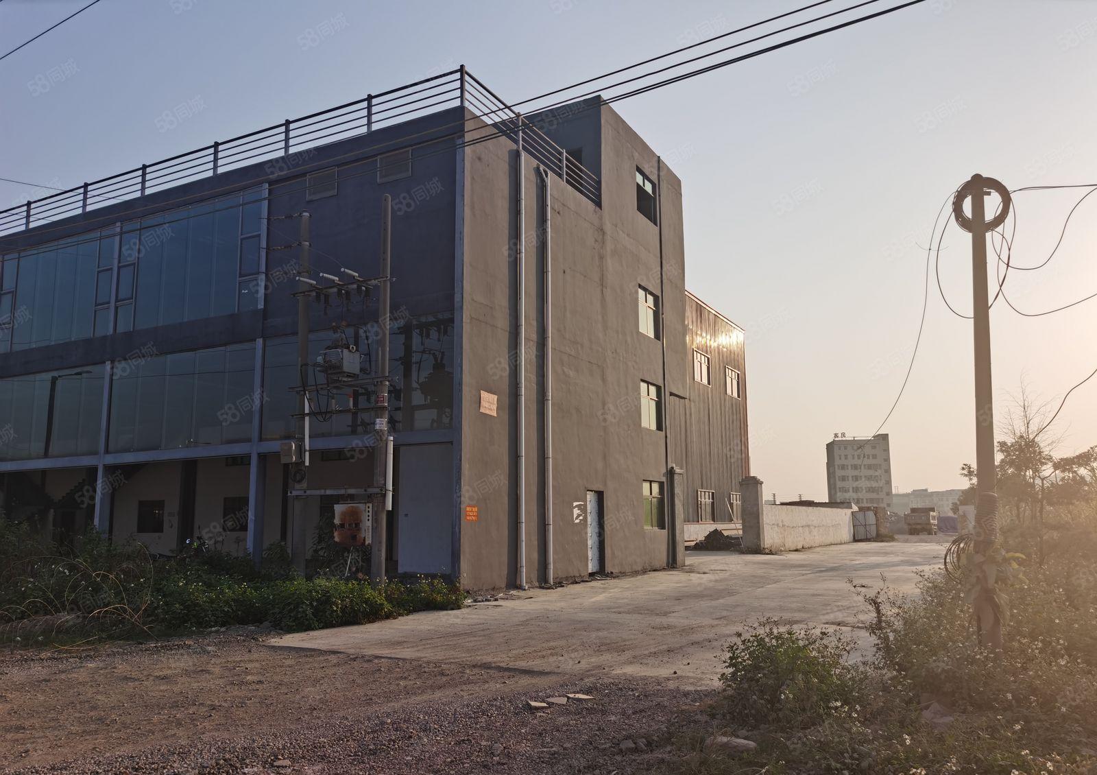 独院单一层13米滴水钢构厂房出租