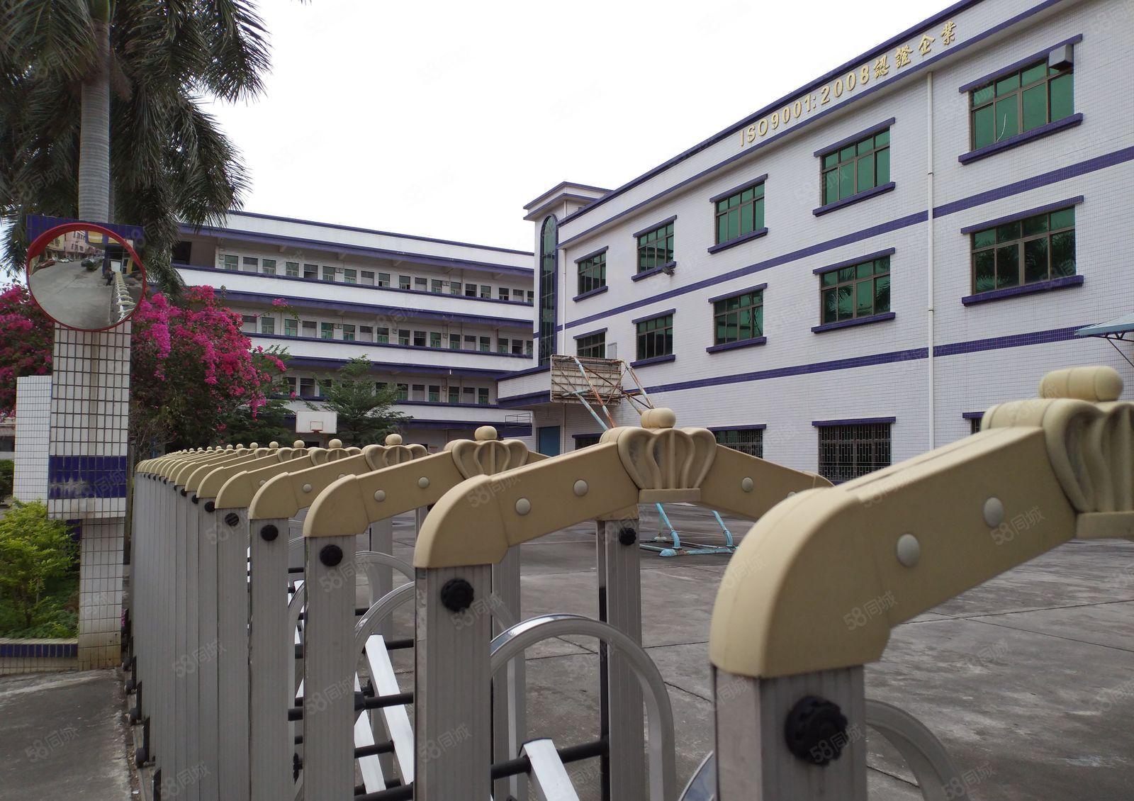 博罗石湾经典独院3500 宿舍配套齐全 工业厂房 可办环评