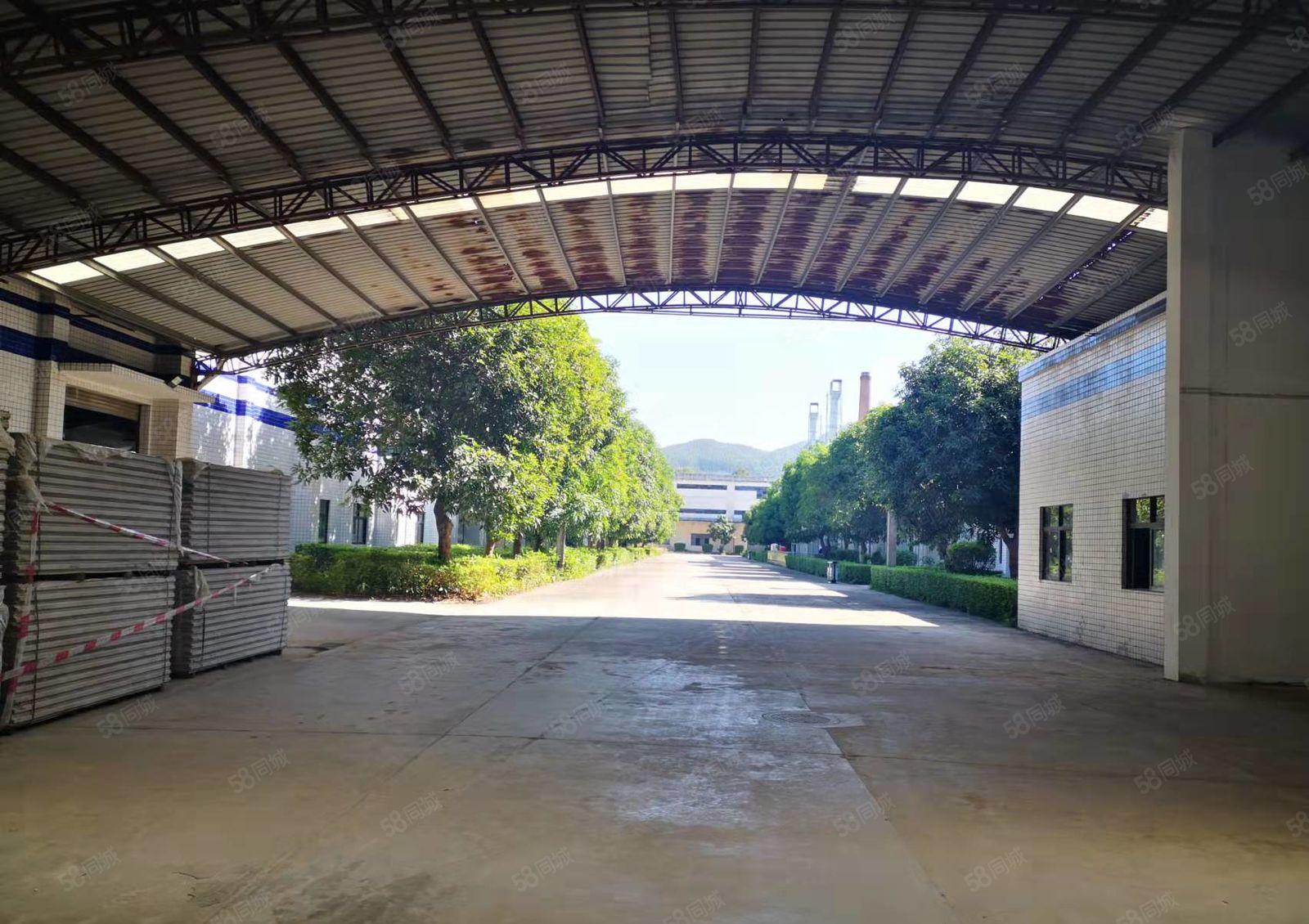 博罗龙华国道边上可办环评10米高单层厂房 1000平方起租