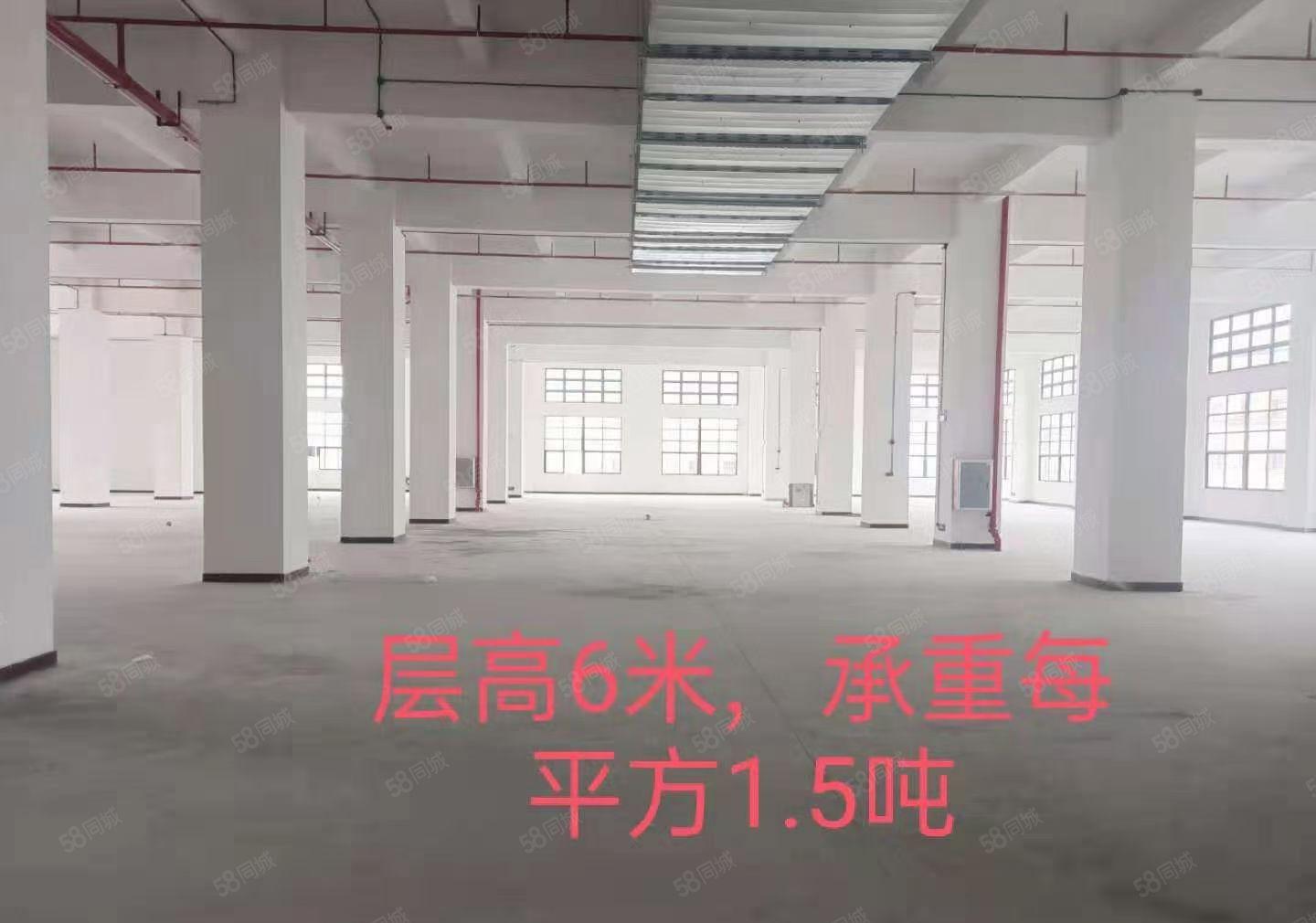 原房东标准独院特价租！非中介！