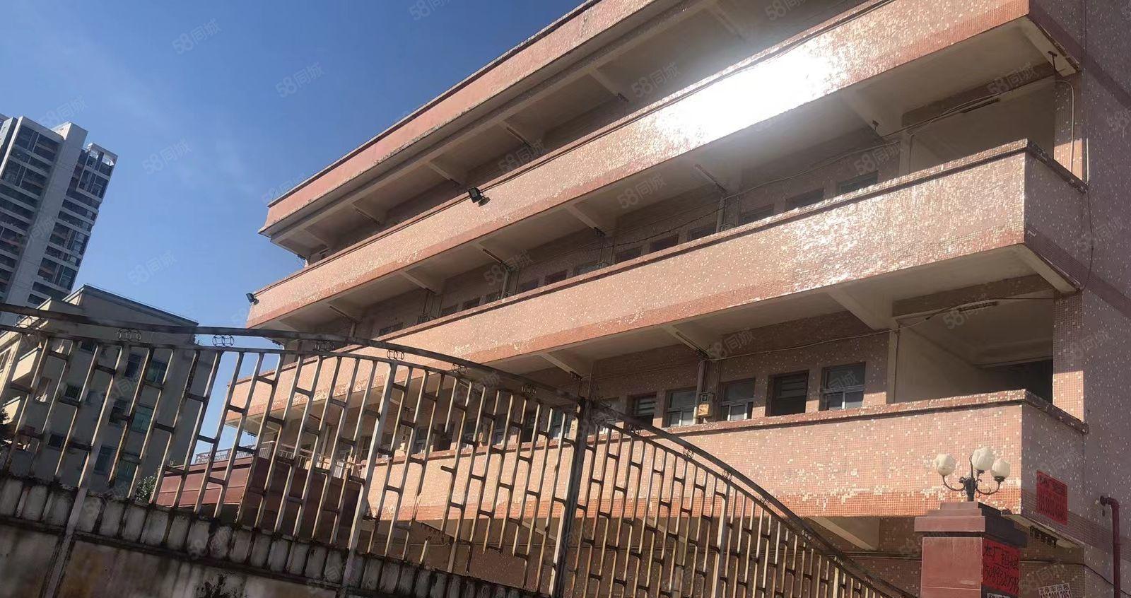 园洲新出原房东独门独院单一层厂房5800平方宿舍1200平方