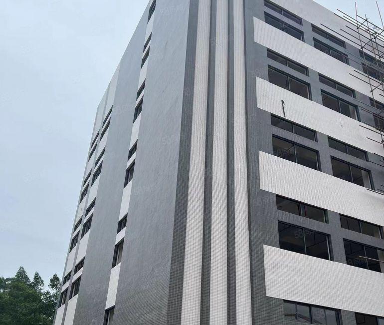 博罗独院标准厂房一楼7.8米一手房东仅租7元房东负责装修