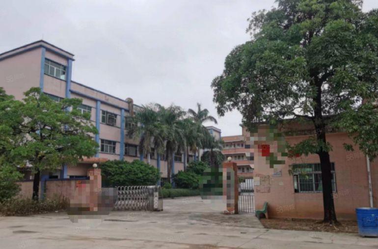 园洲镇原房东标准厂房4000平米，宿舍办公800平米出租